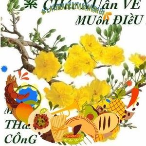 Meet your Posher, Chitienkim